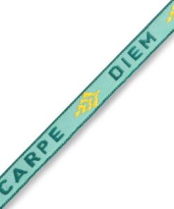 Lint armbandje carpe diem