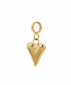 Ixxxi Charm Wild Heart Gold
